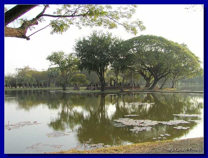 Sukhothai Pond Tree 20011130 1632