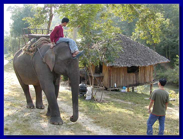 Sampatong elephant ride 20011208 0929-03