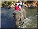 Sampatong elephant ride 20011208 0935-06.JPG