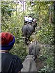 Sampatong elephant ride 20011208 0937-08.JPG