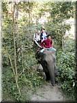 Sampatong elephant ride 20011208 0940-09.JPG
