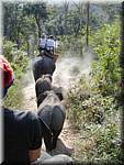 Sampatong elephant ride 20011208 0947-10.JPG