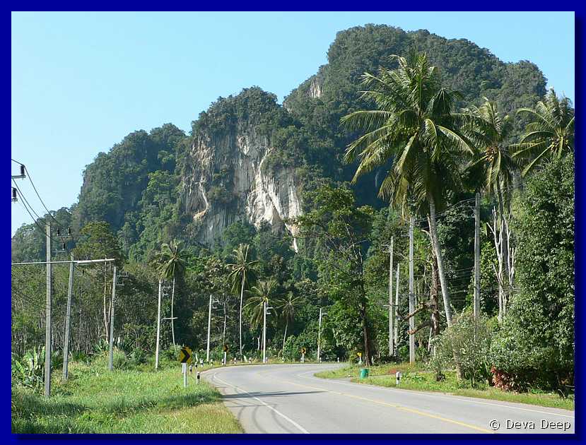Krabi to Ao Nang cliffs-rubber trees-06