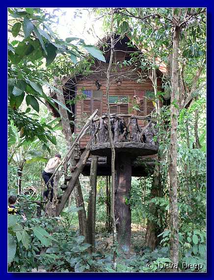 1269 20041208 1640-00 Khao Sok NP Bamboo hut-iC