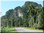 1647 20041217 0956-28 Krabi to Ao Nang cliffs-rubber trees.JPG