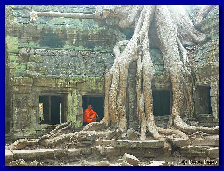 5252 20050129 0938-36 Angkor Ta Prom-iC
