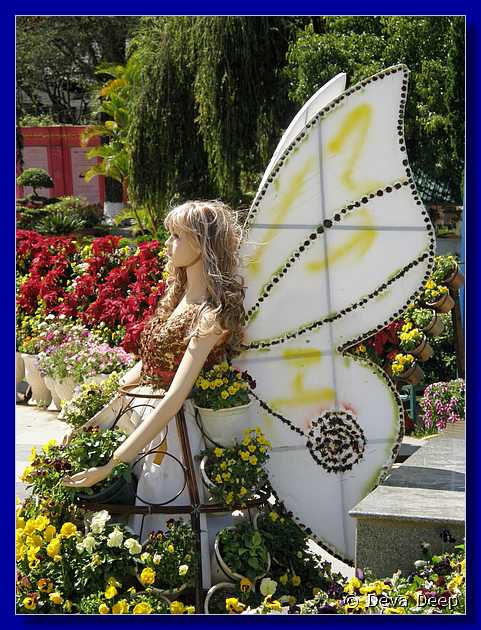 Dalat Flower garden Fairy-043