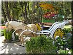 Dalat Flower garden Horse carriage-045.JPG