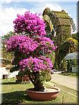 Dalat Flower garden with statues-048.JPG