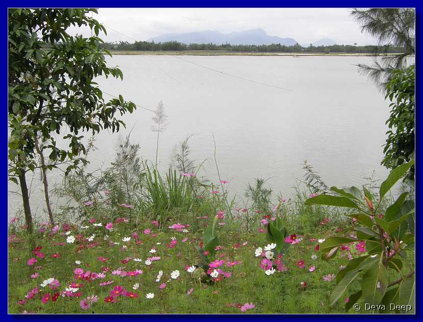 Hoi An River with flowers-055
