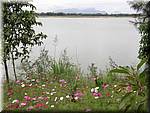 Hoi An River with flowers-055.JPG