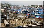 Nha Trang Fishing harbor-020.JPG