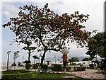 Nha Trang Tree-sea-059.jpg