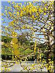 Nha Trang Vinpearl Flower tree-092.JPG
